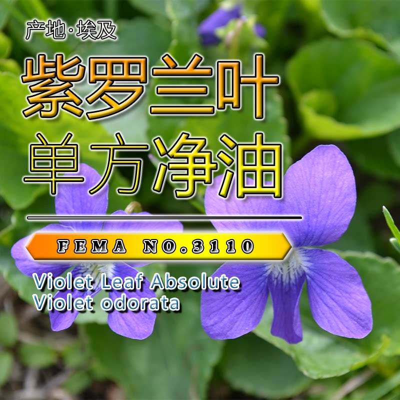 紫罗兰叶净油5mL