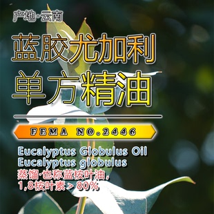 蓝胶尤加利精油10mL