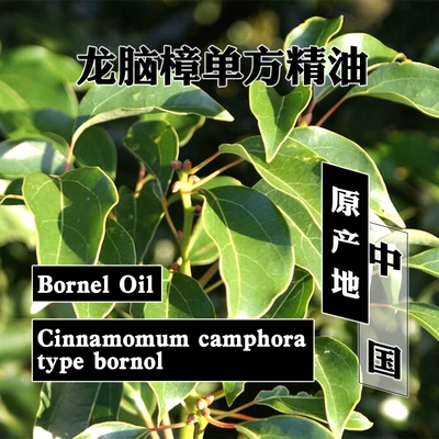 龙脑樟精油5mL/15mL中国