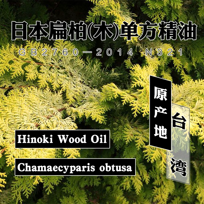 正宗台湾桧木日本扁柏(木)精油5mL
