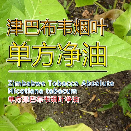 津巴布韦净油5mL