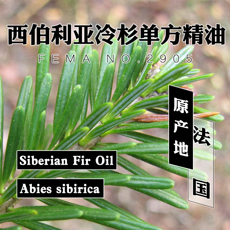 西伯利亚冷杉精油15mL