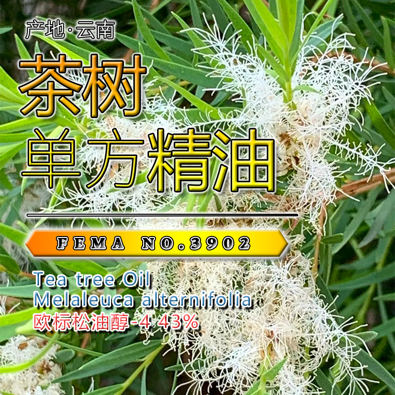 茶树精油15mL,洗护清洁剂/卫生巾/纸/香薰,香薰香料,淘宝优惠券,粉丝福利购,淘宝优惠卷