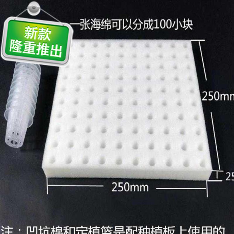 Fish dishes Symbiotic Kickboard system equipment Hydroponics Soilless cultivation Floating Foam board Colonization Vegetables Floatin the Flower delivery/Flowers simulation/Plants gardening , Gardening supplies , Other Garden Supplies  category - from Buy2taobao.com to provide professional Taobao agent buy service