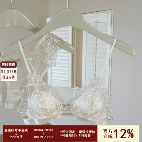 法式刺绣蕾丝性感三角杯内衣女无钢圈细肩带纯欲风小胸文胸罩套装