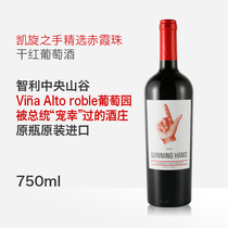 Chilean Central Valley triumph hand Cabernet Sauvignon