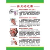 鼻炎 饰画 危害海报展板耳鼻喉解剖图耳鼻喉结构图墙贴墙纸挂图装
