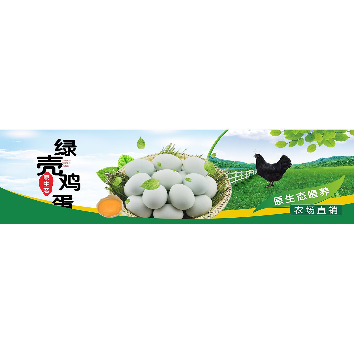 生态农场绿壳乌鸡蛋五黑鸡禽畜养殖场广告海报墙贴图纸宣传装饰画图片