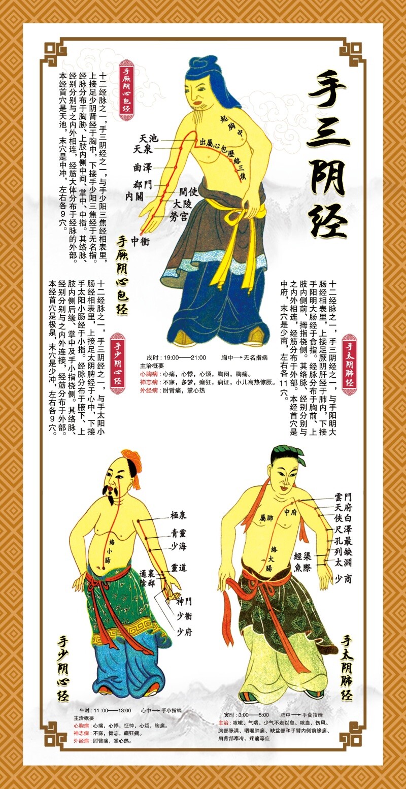 中医十二穴位图人体经络穴位图按摩大挂图解全身经脉筋络手三阴经