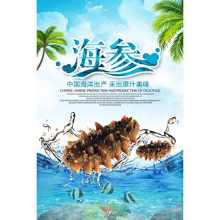 野生海参宣传画广告滋补品店墙壁装饰画海产品贴画海参功效海报