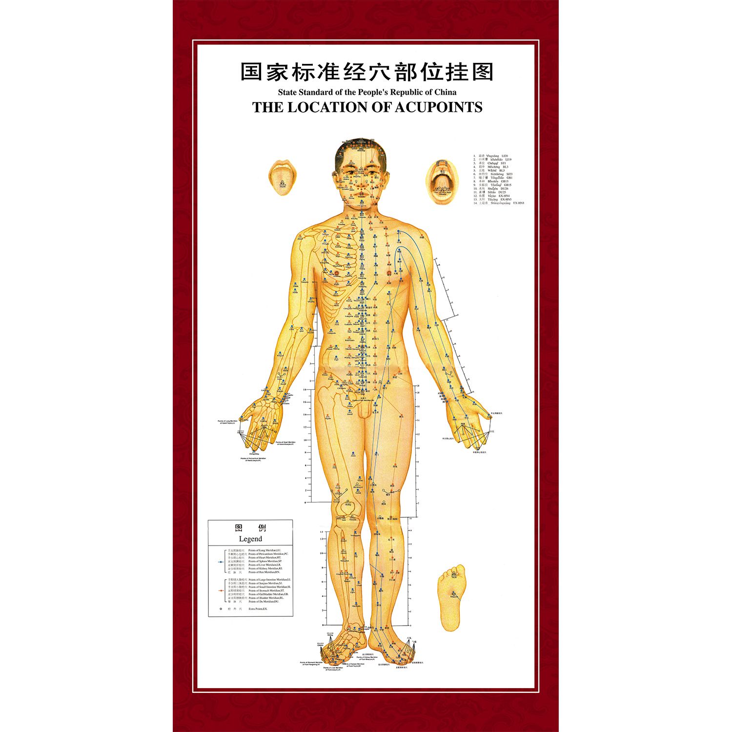 人体经络穴位图海报贴纸国家标准经穴部位挂图养生理疗馆挂画kt板