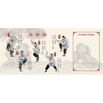 华佗健身五禽戏海报中医养生功法介绍贴纸养生馆理疗店活动中心画