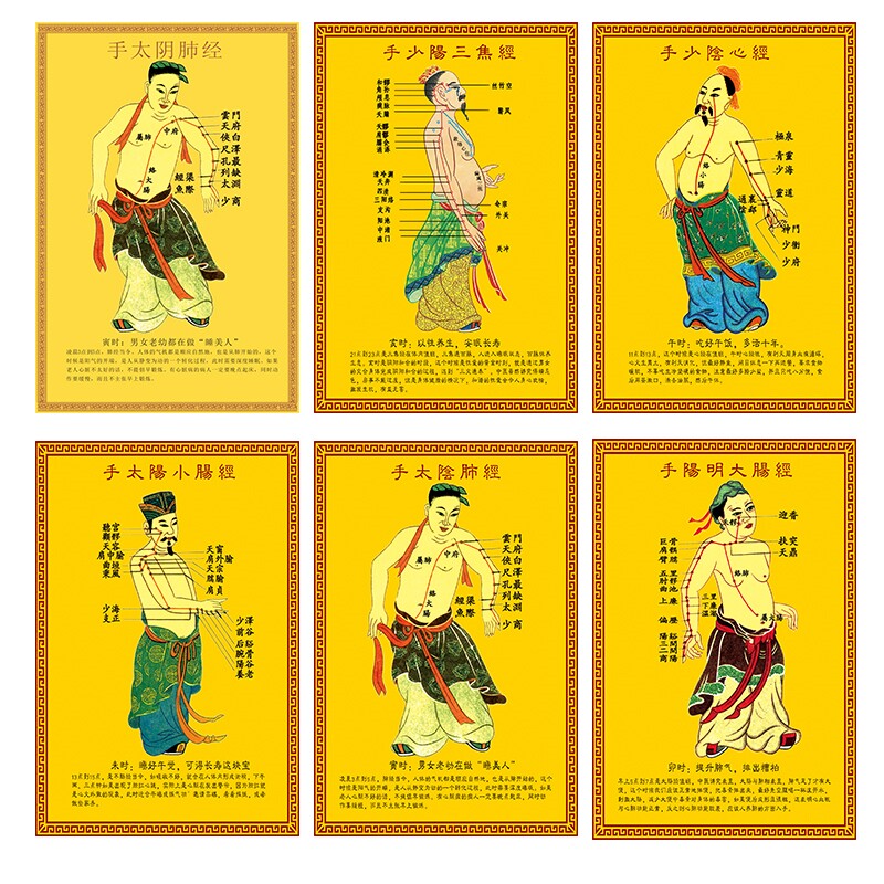 十二经络图中医养生十四经络推拿针灸人体穴位防水挂图海报墙贴纸