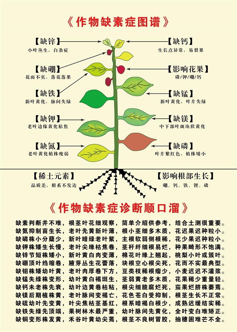 作物缺素症图谱 植物缺素的症状病虫害鉴别与图谱防治技术图海报