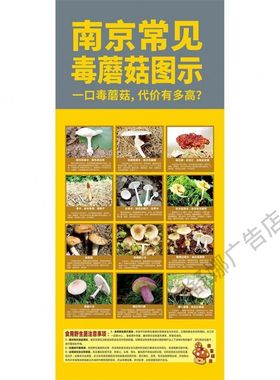 南京常见毒蘑菇图示海报展板预防中毒教您识别毒蘑菇墙贴墙纸KT板