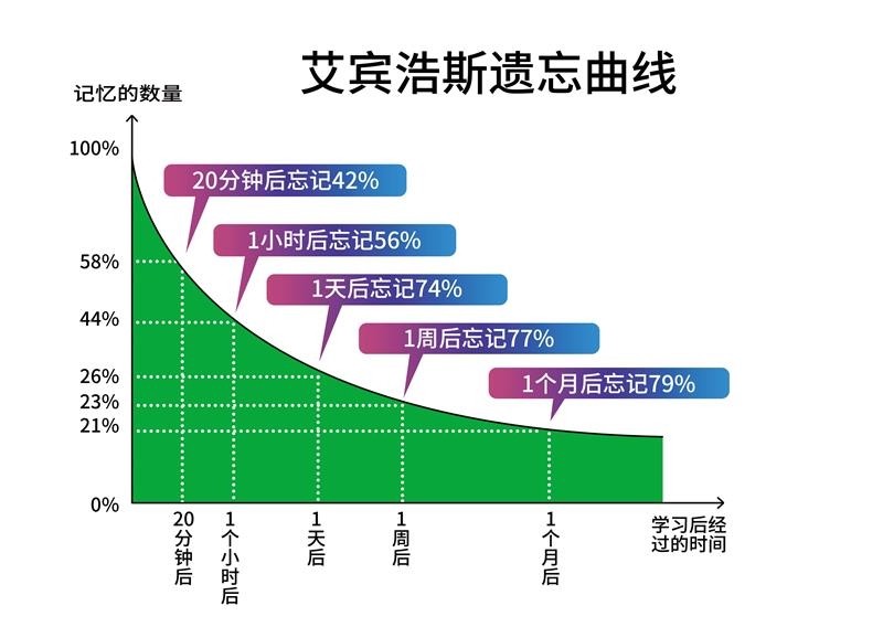 学生学习艾宾浩斯脑部记忆遗忘曲线图挂画墙贴海报印制展板写真