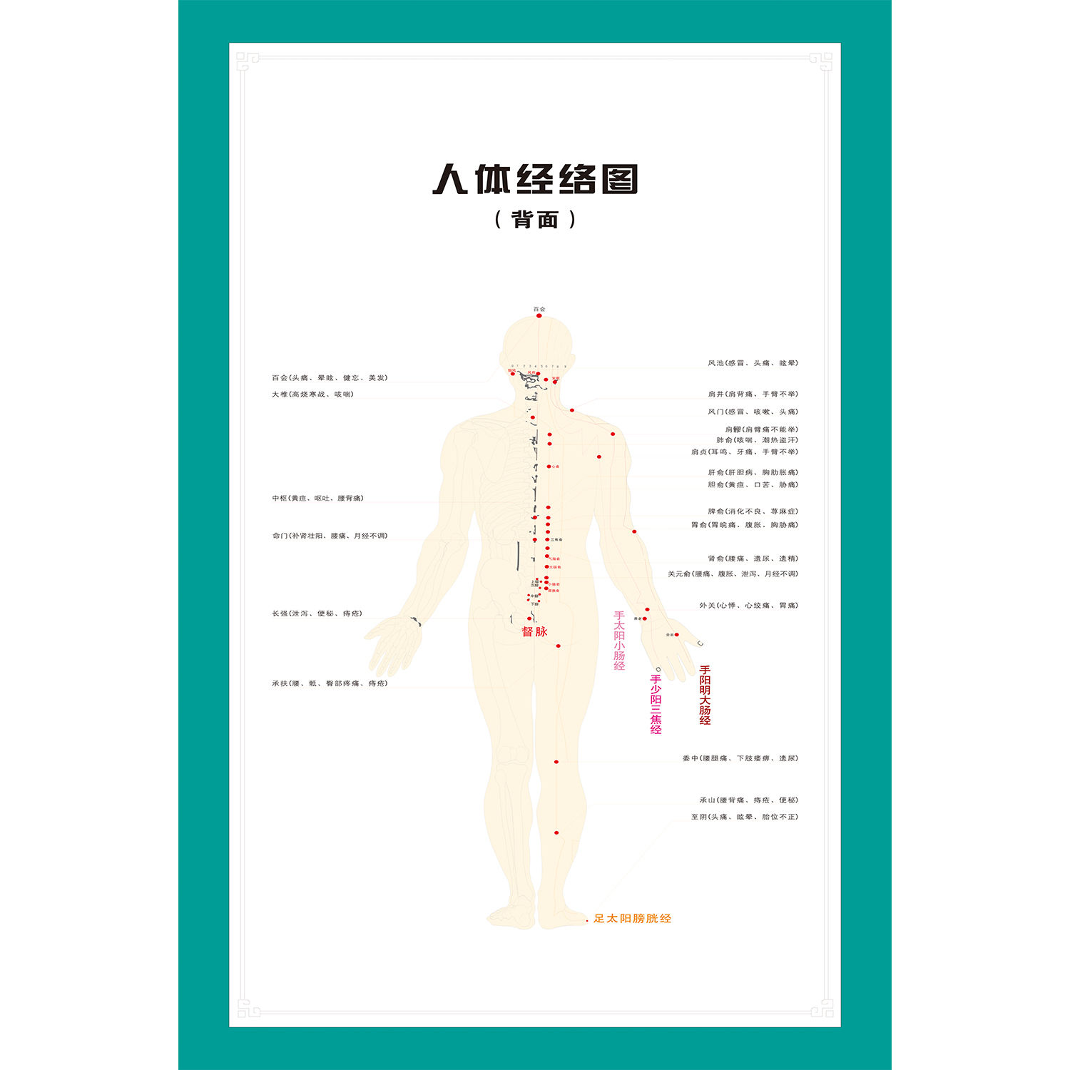 标准人体经络图家用全身挂图穴位参考图艾灸针灸按摩高清图