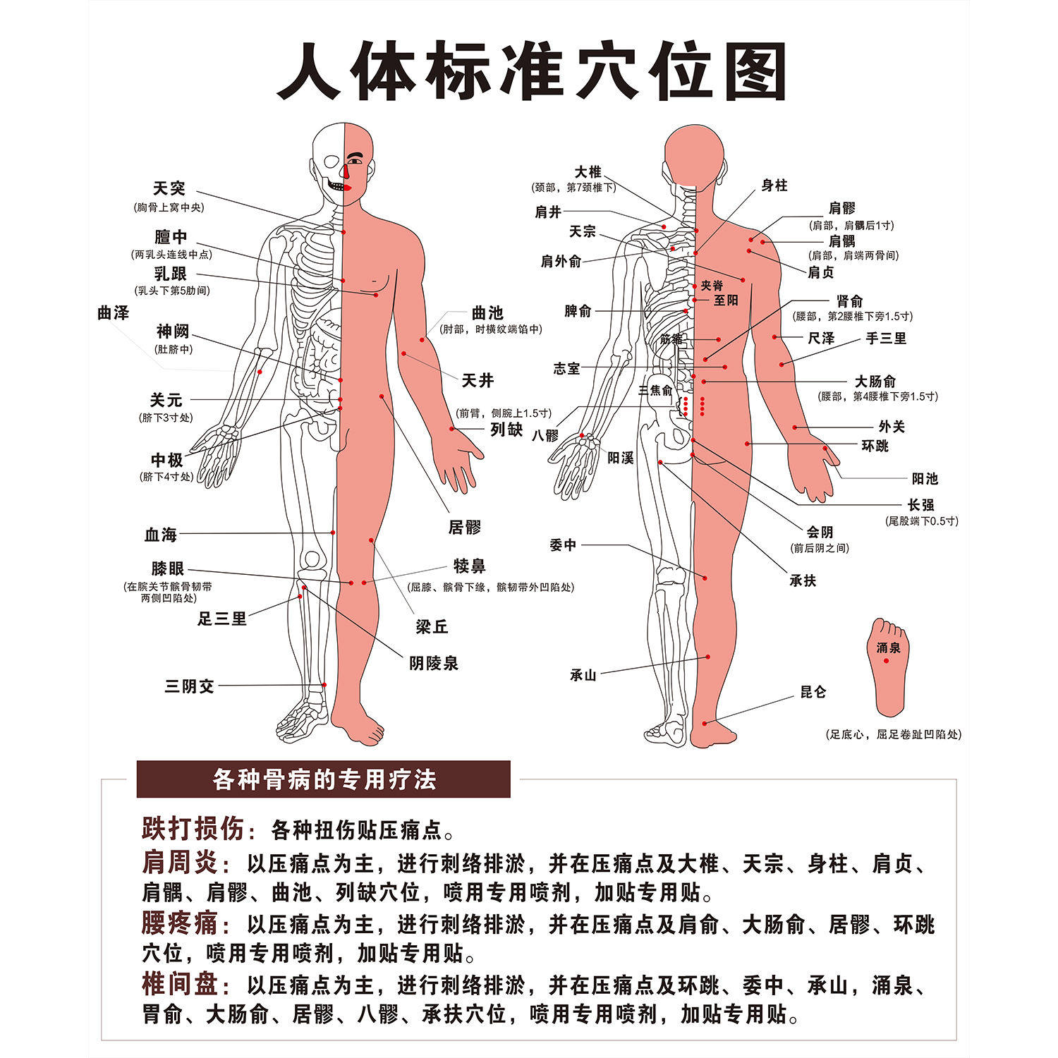 人体穴位图大挂图解全身经络中医养生贴画保健针灸筋络图海报