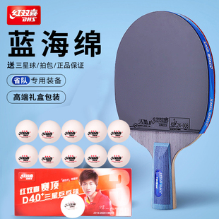 正品红双喜乒乓球拍天极蓝蓝海绵专业级10星狂飙三儿童成人双反胶