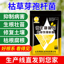 君德枯草芽孢菌杆菌农用微生物菌肥枯草杆菌菌剂菌肥菌种防病肥料