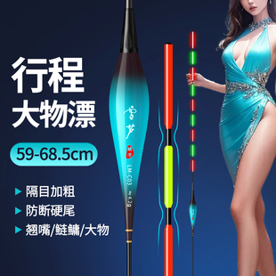 加长流氓夜光漂超亮行程浮漂日夜两用硬尾电子漂大物鱼漂翘嘴浮漂