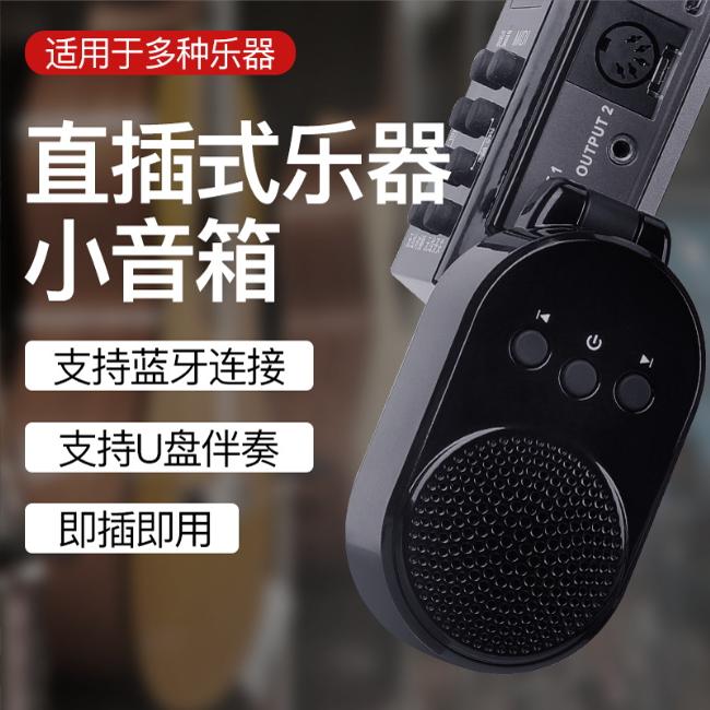 电吹管扩音乐器直插式小音箱