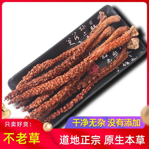 10根装原货不老草回春草草苁蓉泡酒料煲汤料列当泡茶长白山不老草 - 封面