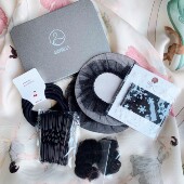 伽百伶娜 配件黑色发网平夹U型发卡舞蹈考级头饰 芭蕾盘发专业套装