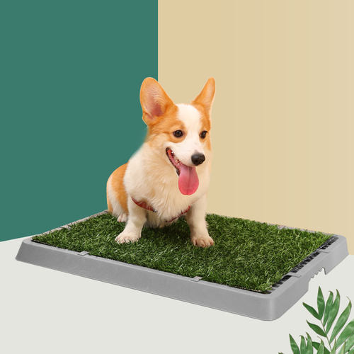 狗狗草坪厕所销量排行榜 狗狗草坪厕所品牌热度排名 小麦优选