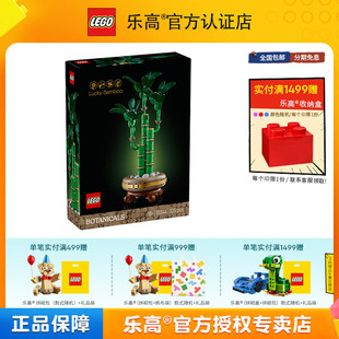 LEGO乐高D2C系列10344富贵竹男孩女孩拼搭积木玩具桌面摆件