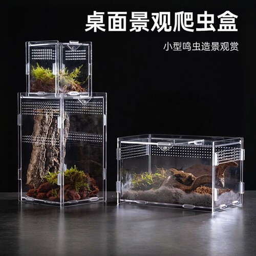 甲虫饲养盒透明亚克力爬虫箱桌面景观蜘蛛盒小型爬宠异宠观赏蝎子