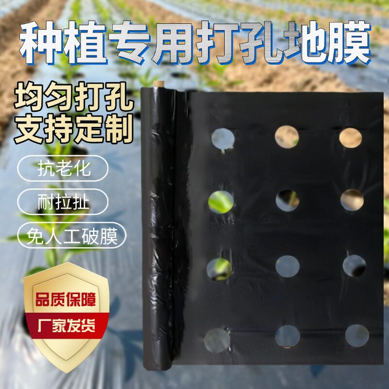 打孔黑地膜农用带孔有孔银黑地膜防草种菜种植辣椒大蒜玉米专用膜