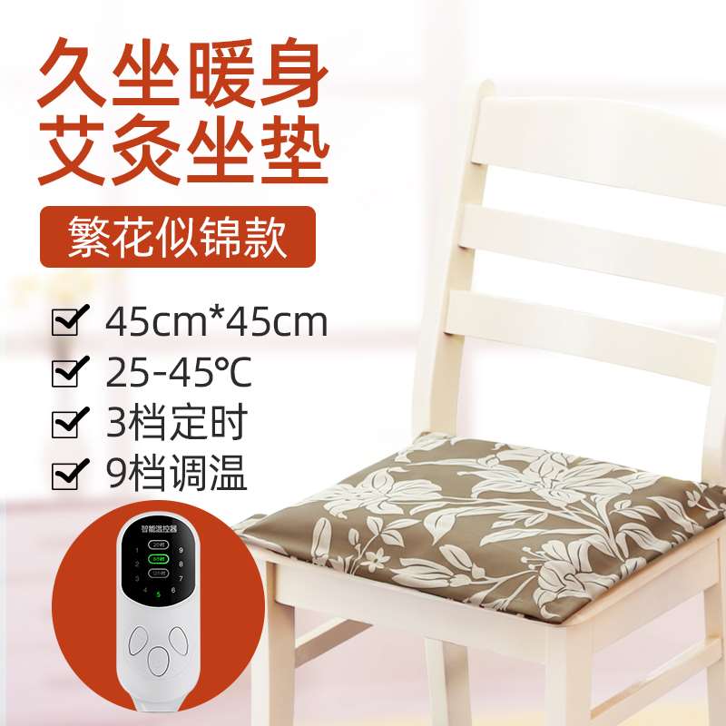 爆品艾芯电加热坐垫办公室取暖神器久坐靠背一体椅子垫艾灸屁垫品