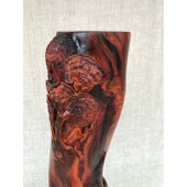 老挝大红酸枝交趾黄檀实木风水柱灵芝镇宅之宝居家摆件红木家具