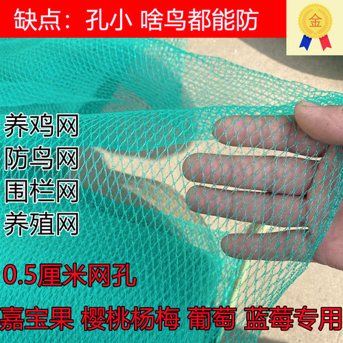 小网孔嘉宝果树防鸟网便宜好用