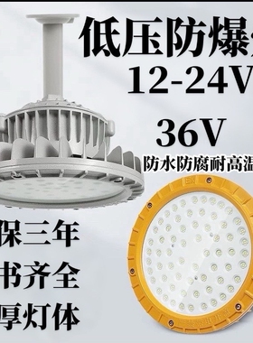 led低压防爆灯12v24v36v投光灯车间加油站化工厂房矿用船用照明灯