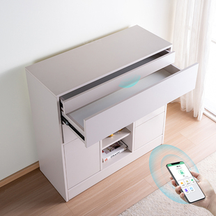 暗格储物柜多功能隐藏防盗家用抽屉式大容量实木柜保险柜收纳柜