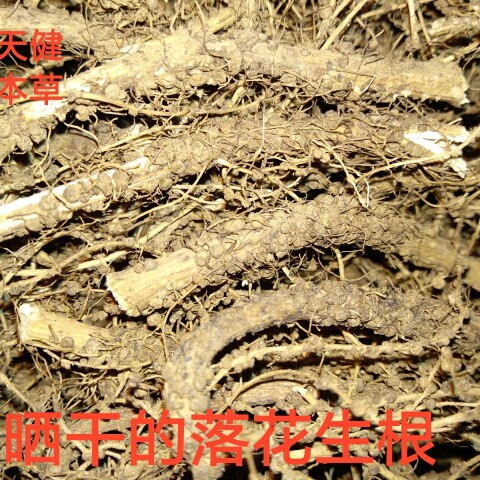 食用农产品河南南阳花生根图片