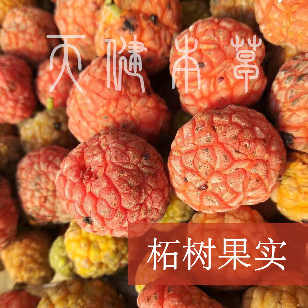 酵素中药材红的新鲜干货包邮果实