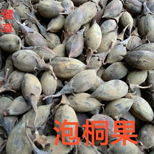 泡桐果中药材泡桐子泡桐叶泡桐皮空桐木白桐水桐紫花树500g干货