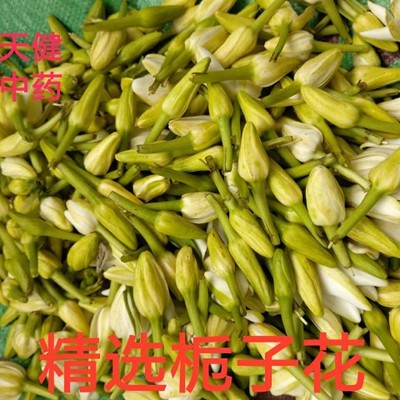 栀子花中药材精选栀子花茜草栀花
