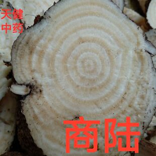 商陆中药章陆白昌章柳根见肿消牛大黄狗头三七土冬瓜野萝卜500克