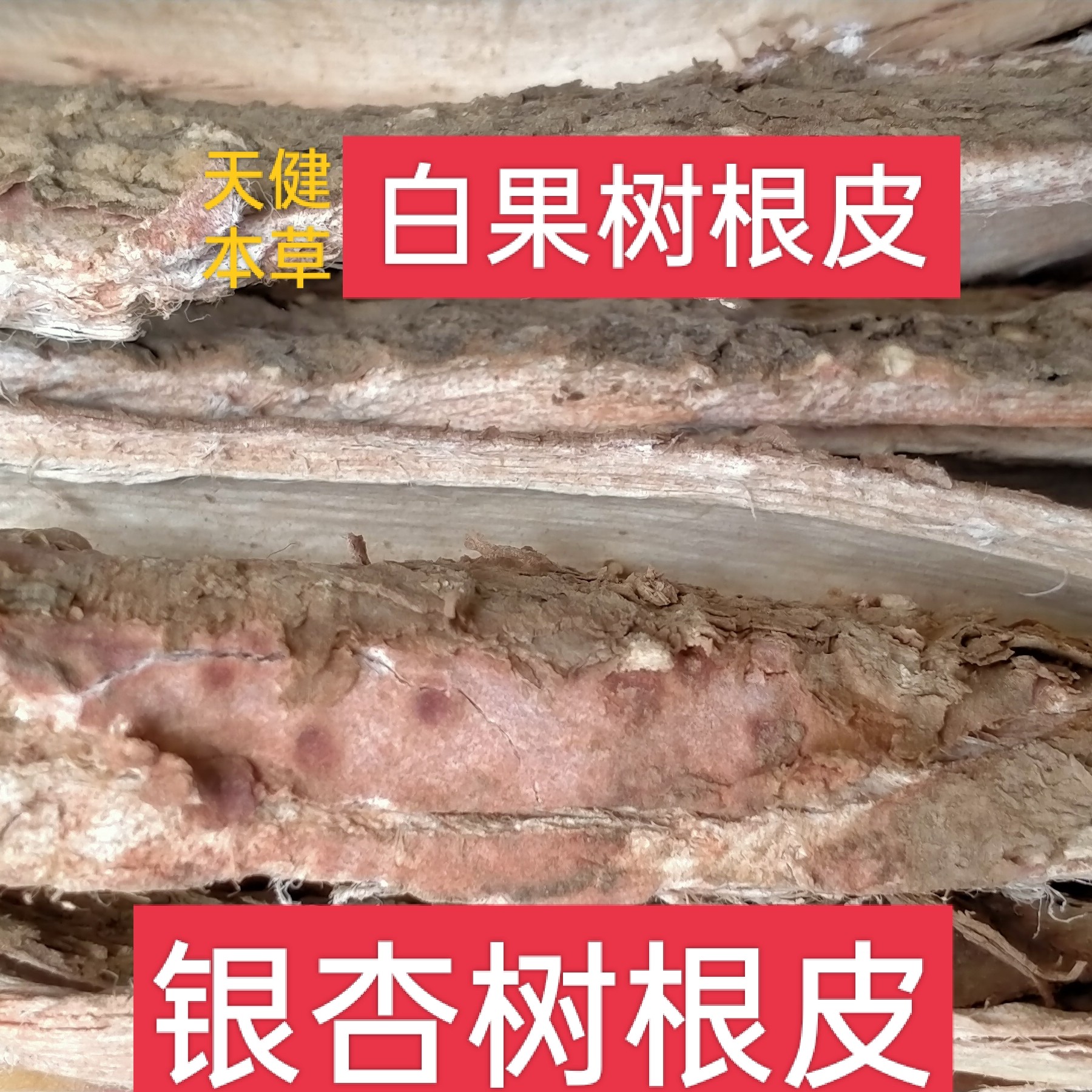 白果树根皮中药材银杏根皮公孙树皮白果树皮银杏树皮干货
