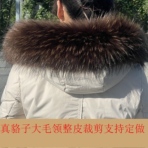 鑫立得咖啡色貉子毛领