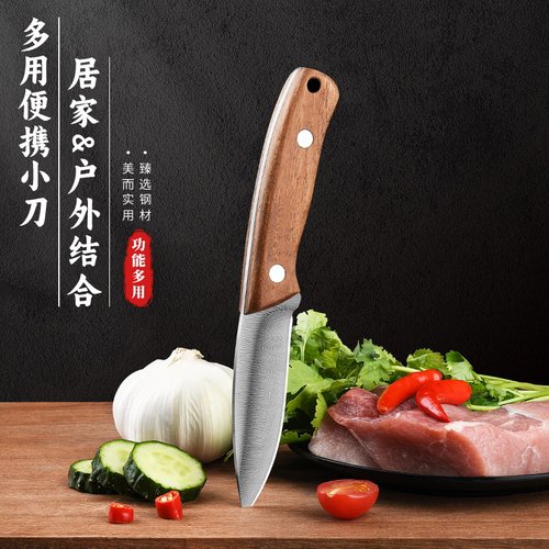 多功能小刀户外杀鱼野营随身刀具