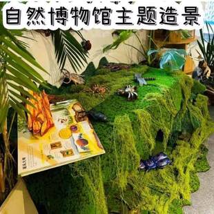 幼儿园春日自然植物角环创装饰昆虫博物馆主题背景布置造景材料包