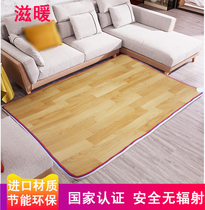 滋暖电热地毯客厅地暖垫韩国电加热暖垫小电褥子办公室取暖器插电