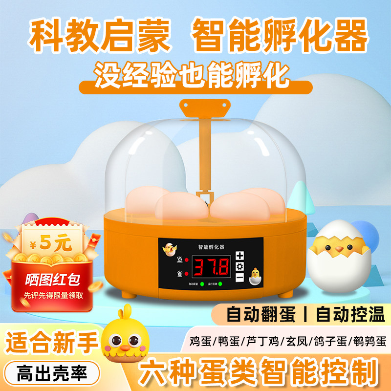 孵蛋器小型家用智能孵化器机全自动恒温芦丁鸡小鸡鹦鹉水床孵化箱