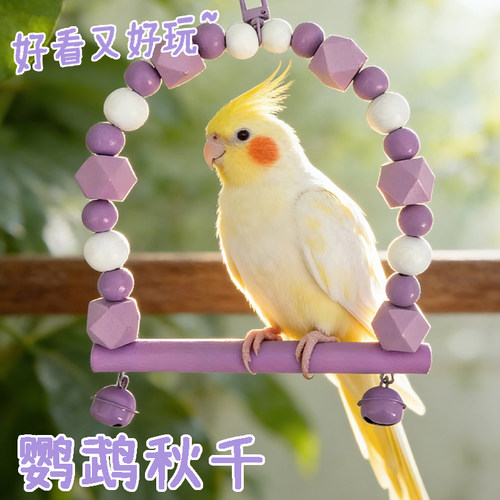 这秋千也太适合小鸟啦！~