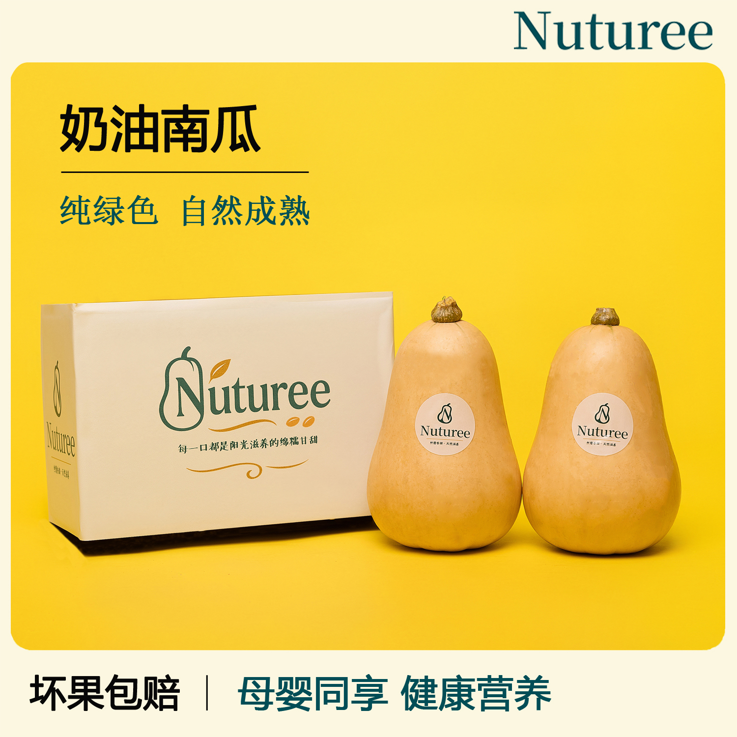 Nuturee 阿根廷进口改良培育奶油南瓜 新鲜低糖细腻蔬果健康轻食